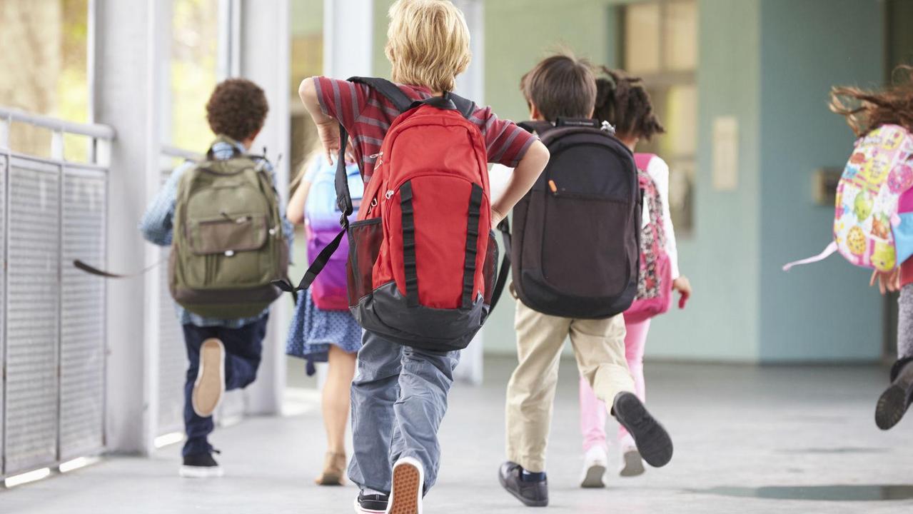 Sospiro di sollievo per le elementari a Ro. E un nuovo servizio