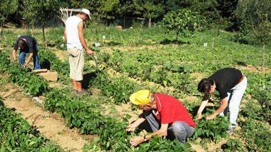Finalmente arrivano le piogge Benefici soltanto per l’agricoltura