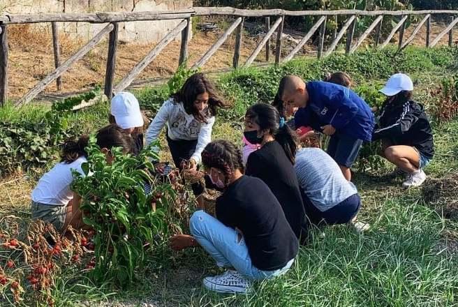 L’estate dei bambini tra mare e attività 