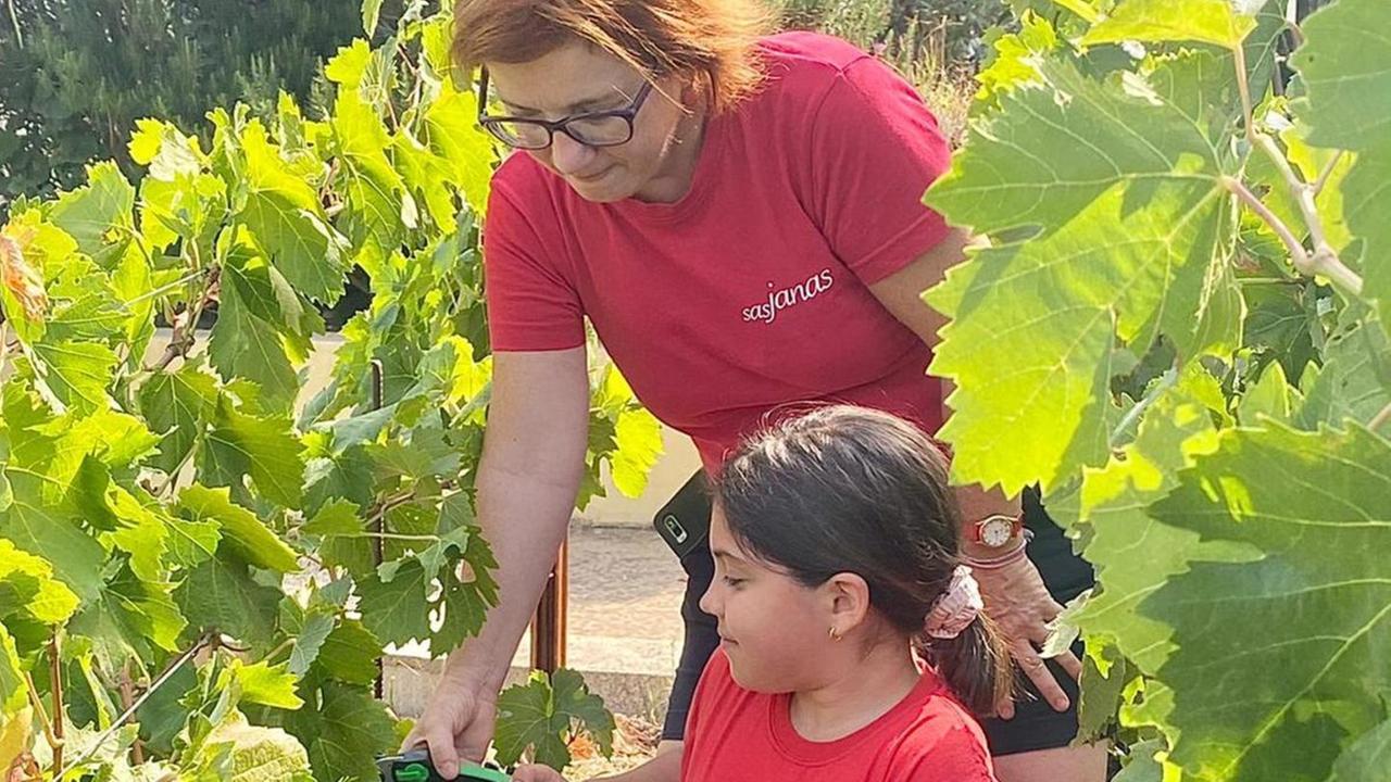 Cantina Murales la vendemmia la fanno i bambini