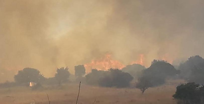 Causò vasto rogo allevatore dal gup 