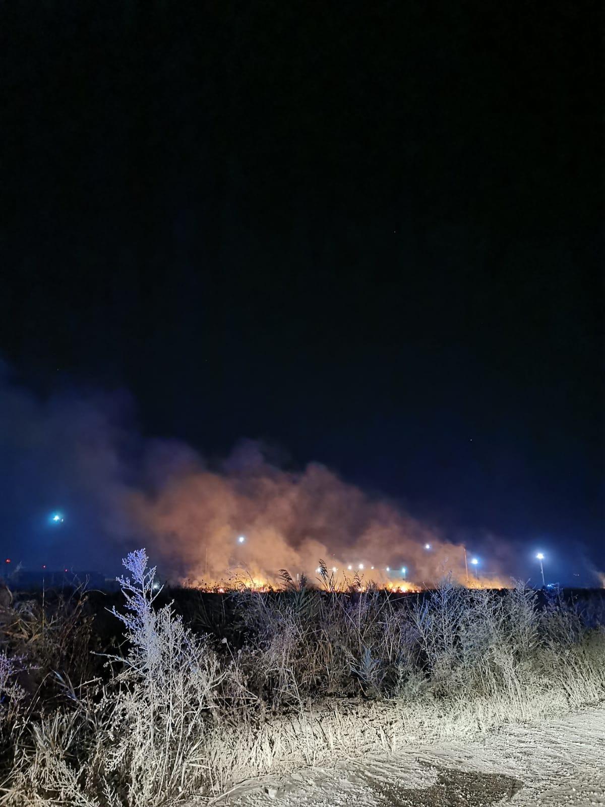 Incendio boschivo nella notte al Quagliodromo