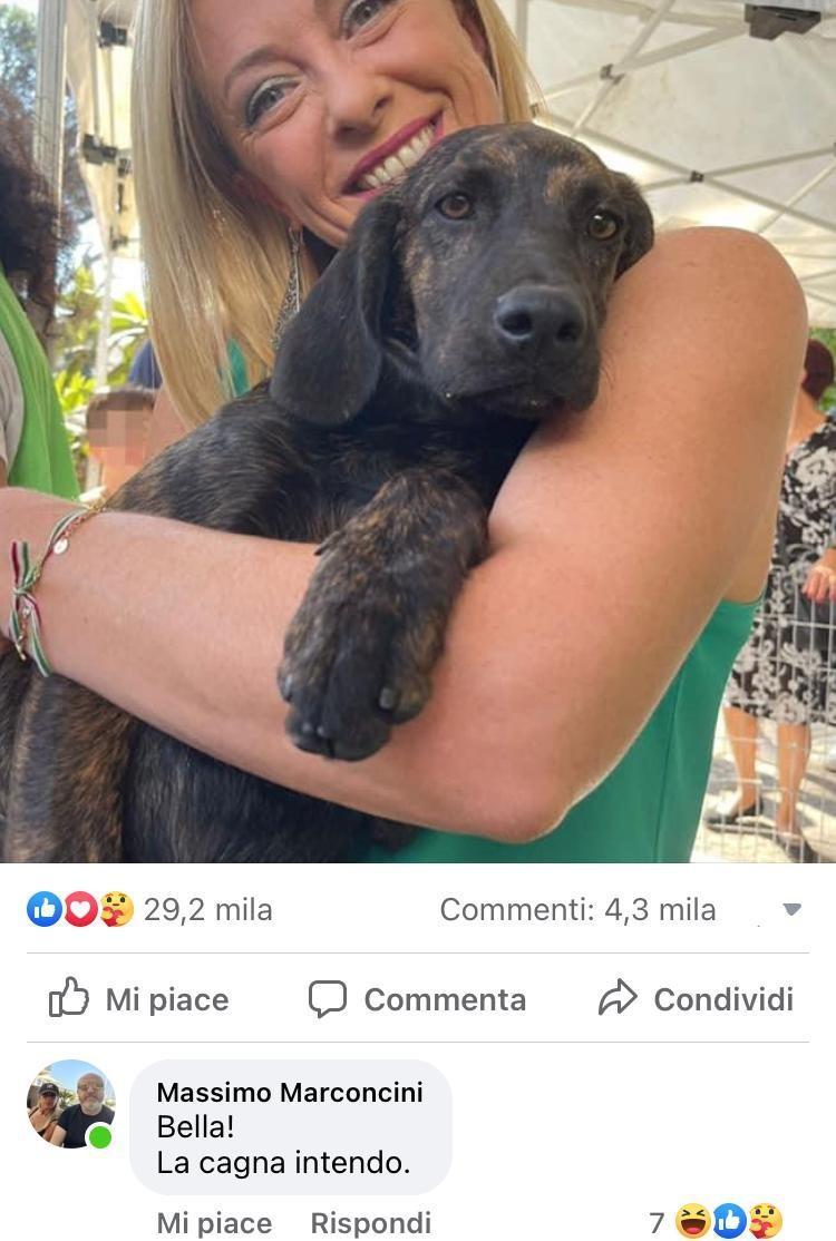 La foto di Giorgia Meloni con il cucciolo