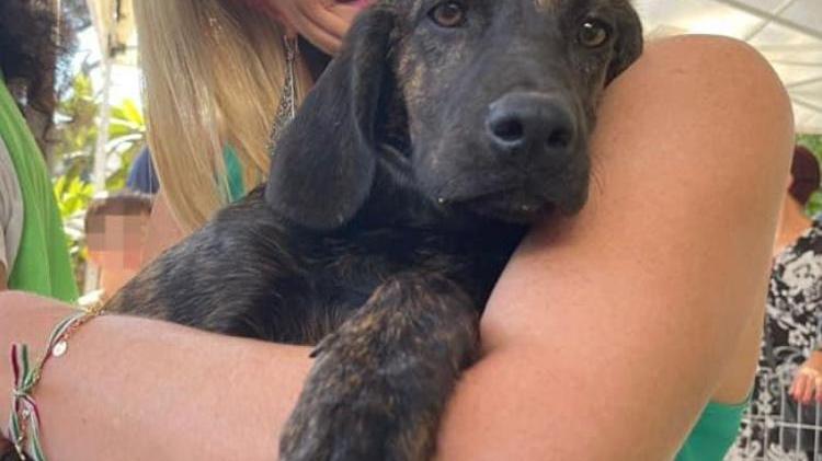 La foto di Giorgia Meloni con il cucciolo