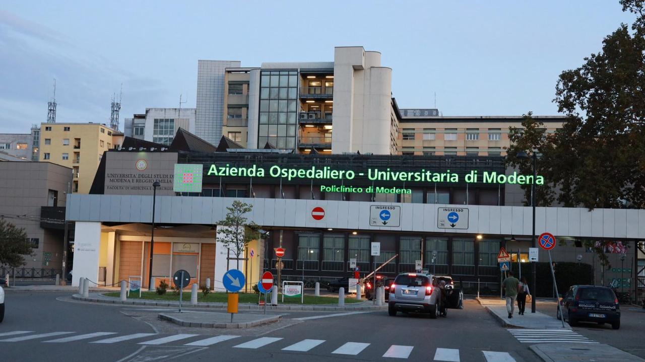 Policlinico di Modena, un topo morto su uno dei vassoi in distribuzione ai malati