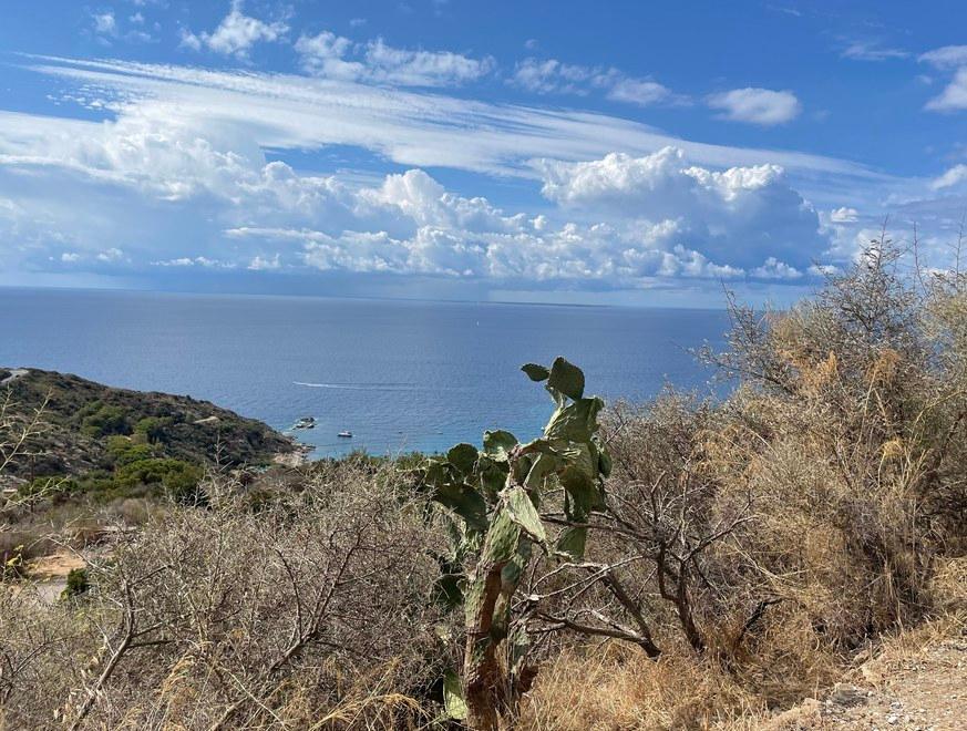 La seconda chance di Elena «All’Elba riparto da zero» 
