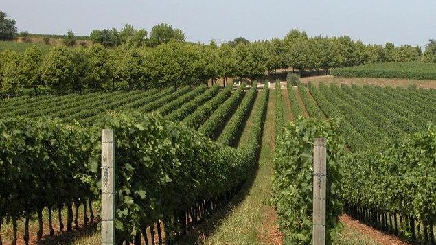 Diversificazione e incentivi per gli agriturismi