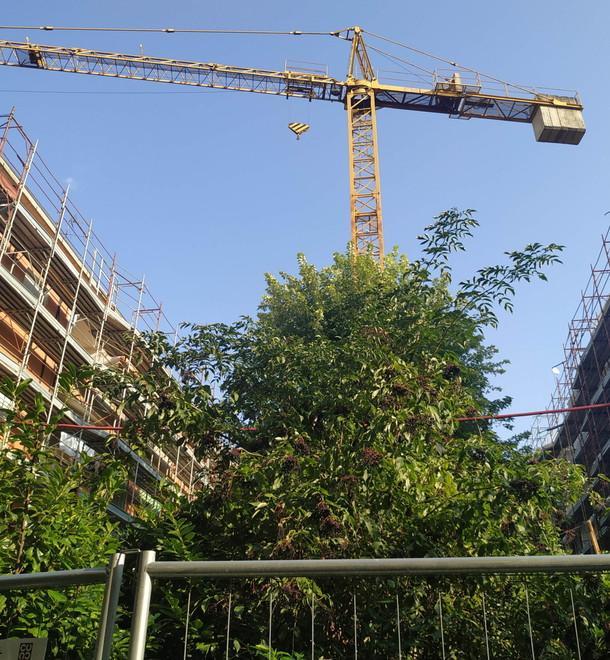 Le parole d’ordine sono rigenerazione e riqualificazione