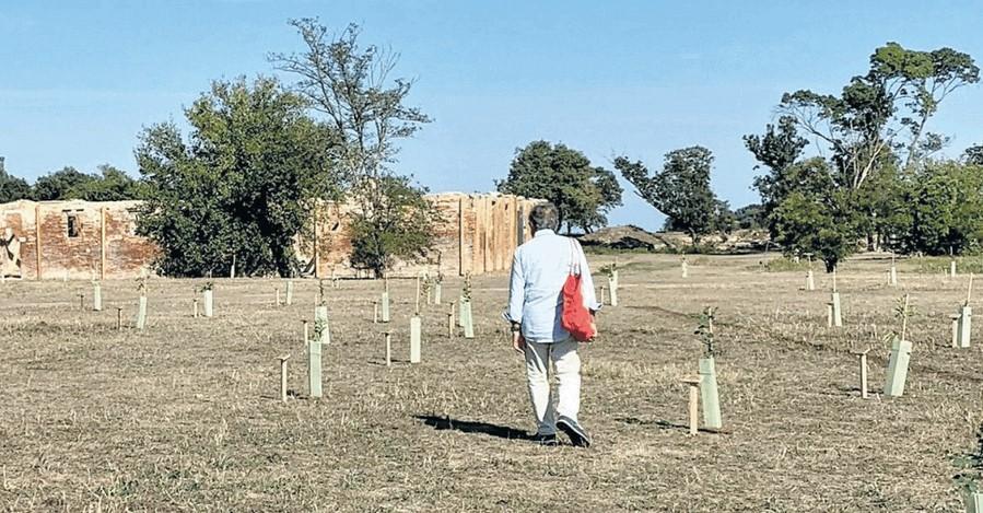 Mostra del cinema di Venezia, la Sardegna è protagonista