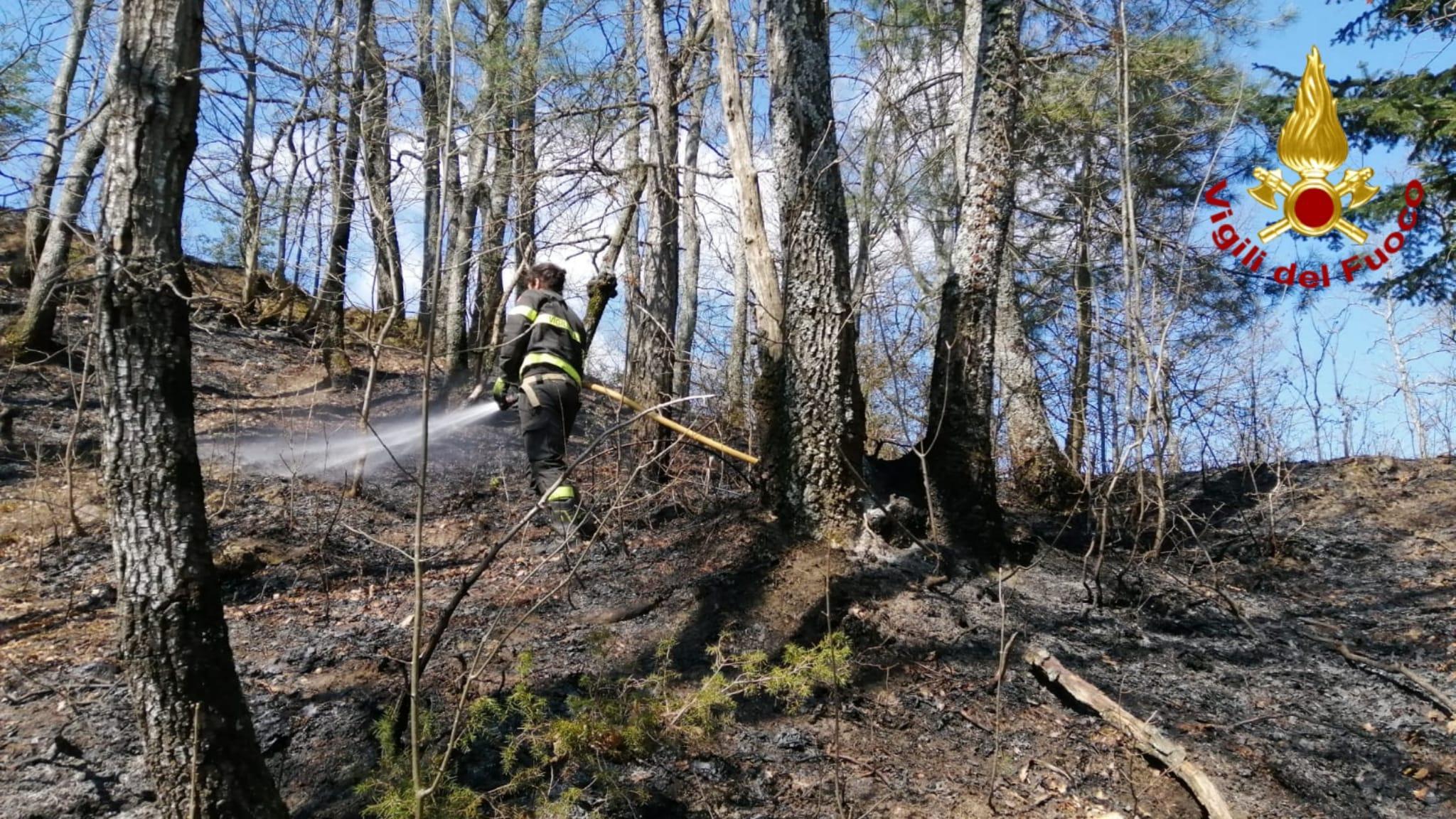 Brucia gli sfalci e il fuoco distrugge tre ettari di vegetazione, denunciato un 78enne