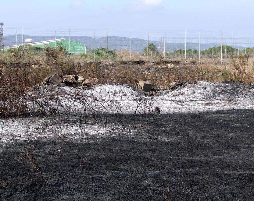 Incendio nella notte al Quagliodromo In fiamme quattro ettari di vegetazione 