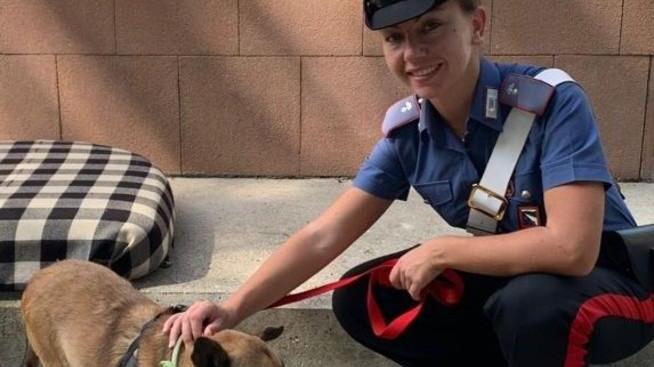 Maltrattava il cucciolo mentre chiedeva l’elemosina in S. Romano