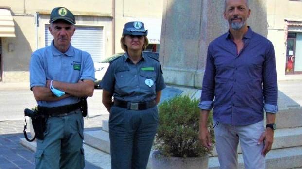 Dissuasori alle finestre e coadiutori per arginare i colombi