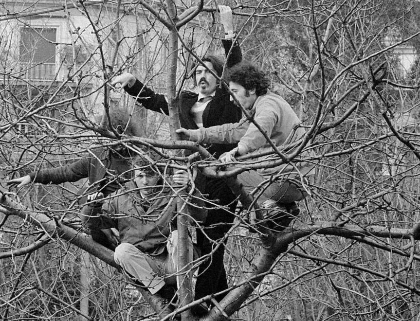 «Quel movimento del Sessantotto dirompente nato sugli alberi» 