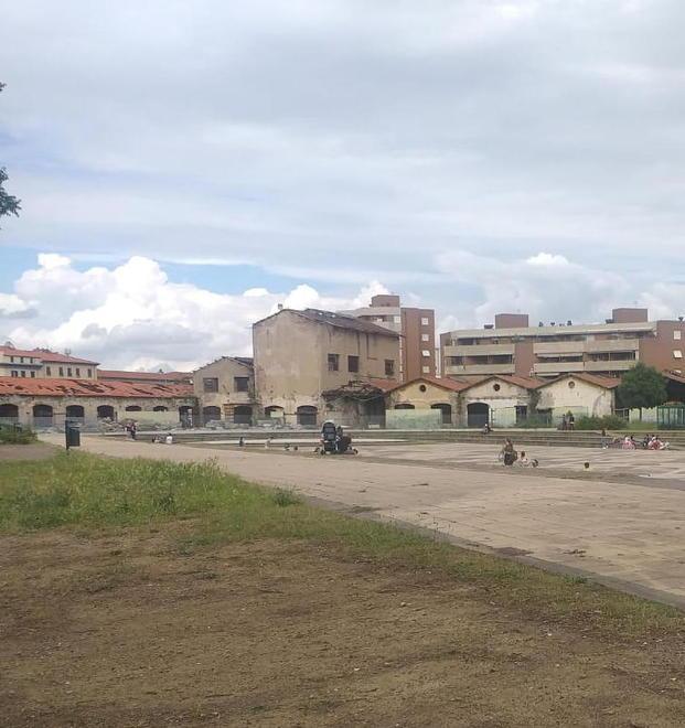 I comitati: «Salviamo alberi e aree gioco del Parterre»