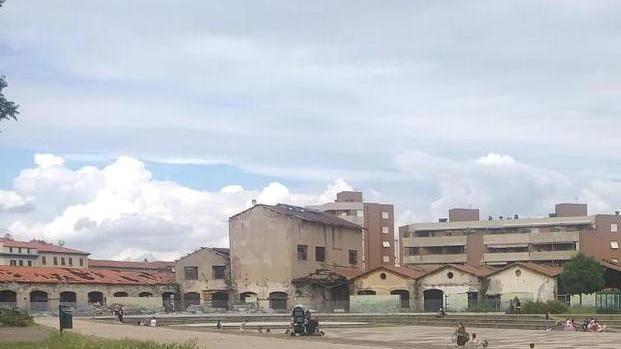 I comitati: «Salviamo alberi e aree gioco del Parterre»