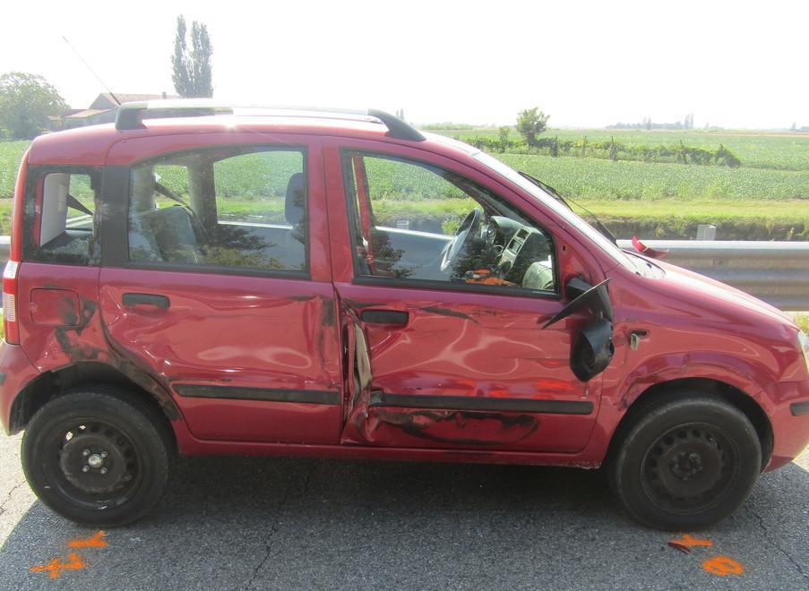 Panda schiacciata da due camion In tre “miracolati” 