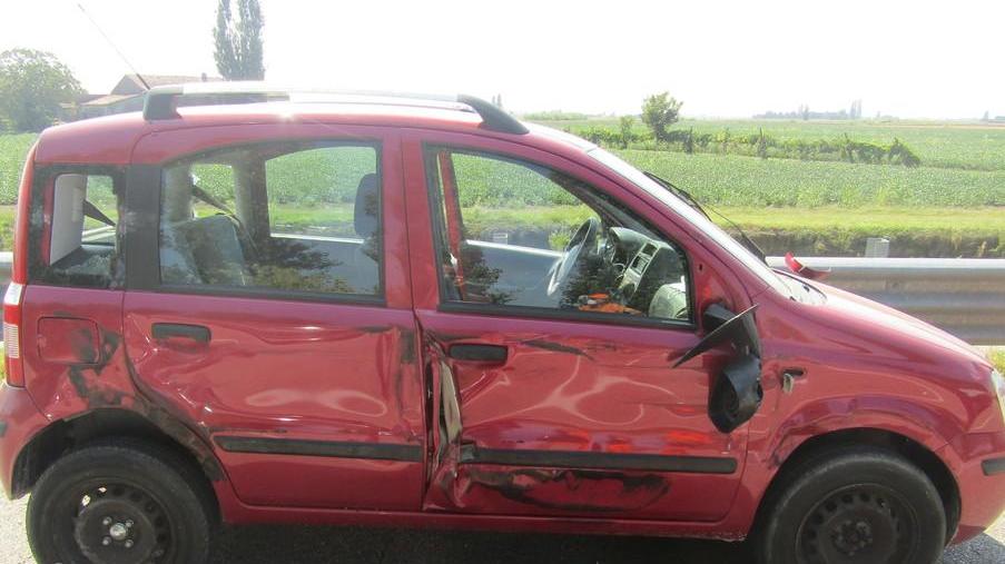 Panda schiacciata da due camion In tre “miracolati”
