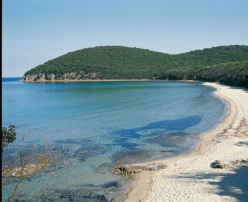 Cala Violina (foto Carlo Bonazza)