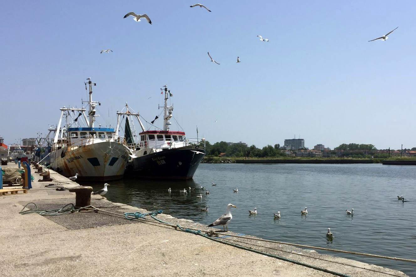 Gabbiani sul molo e i pescherecci di Porto Garibaldi