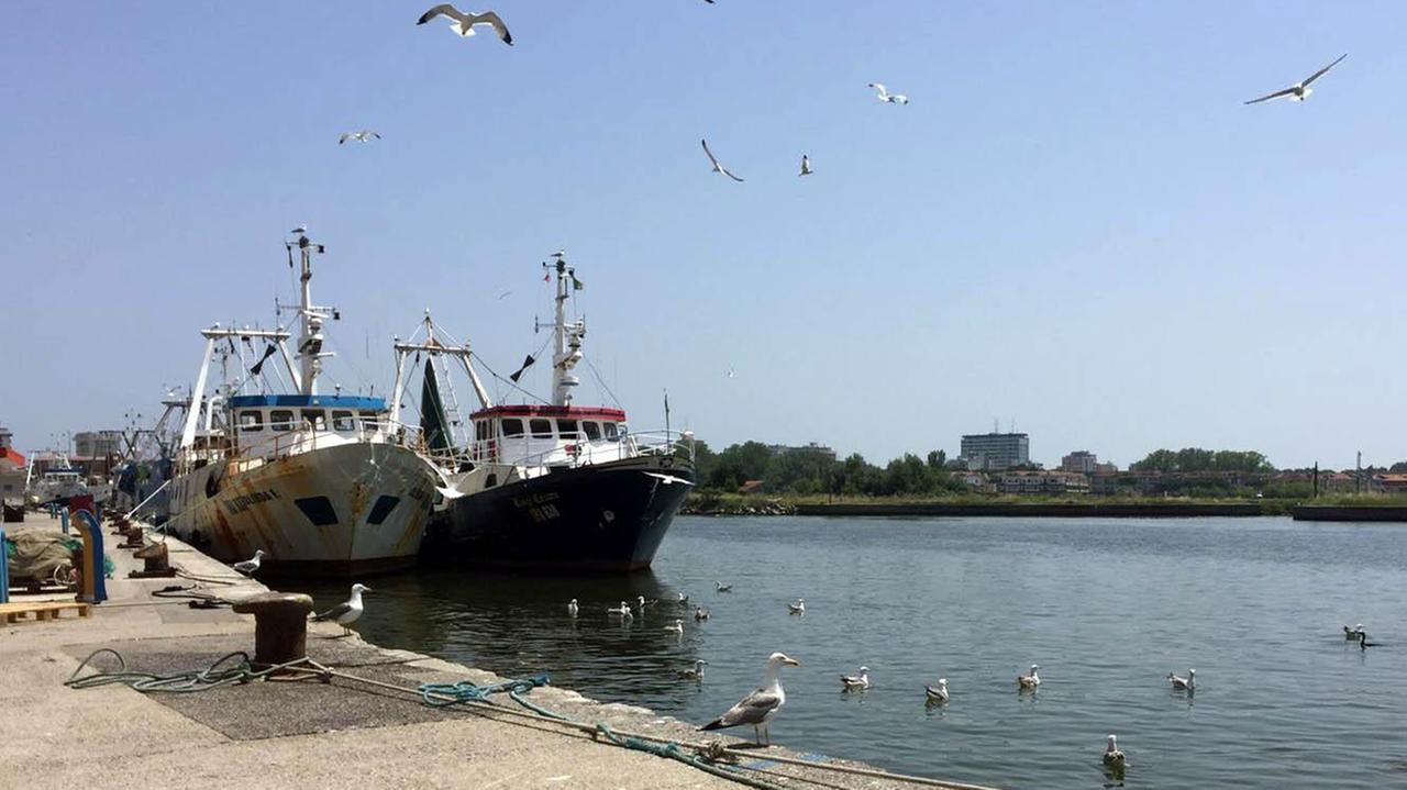 Gabbiani sul molo e i pescherecci di Porto Garibaldi
