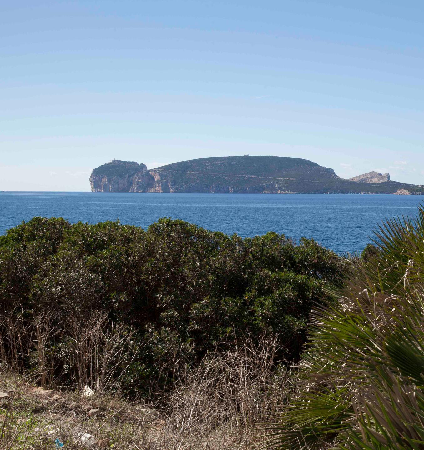 Manifestazione di interesse per rinnovare la Consulta