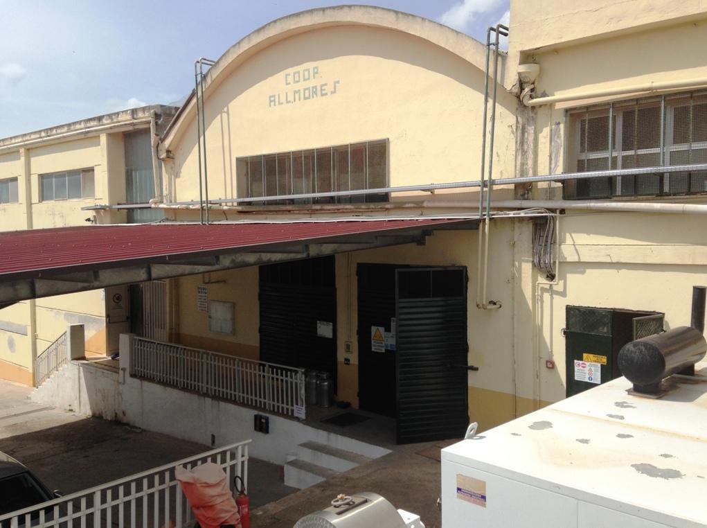 Allevatori Mores, 70 anni di eccellenze 