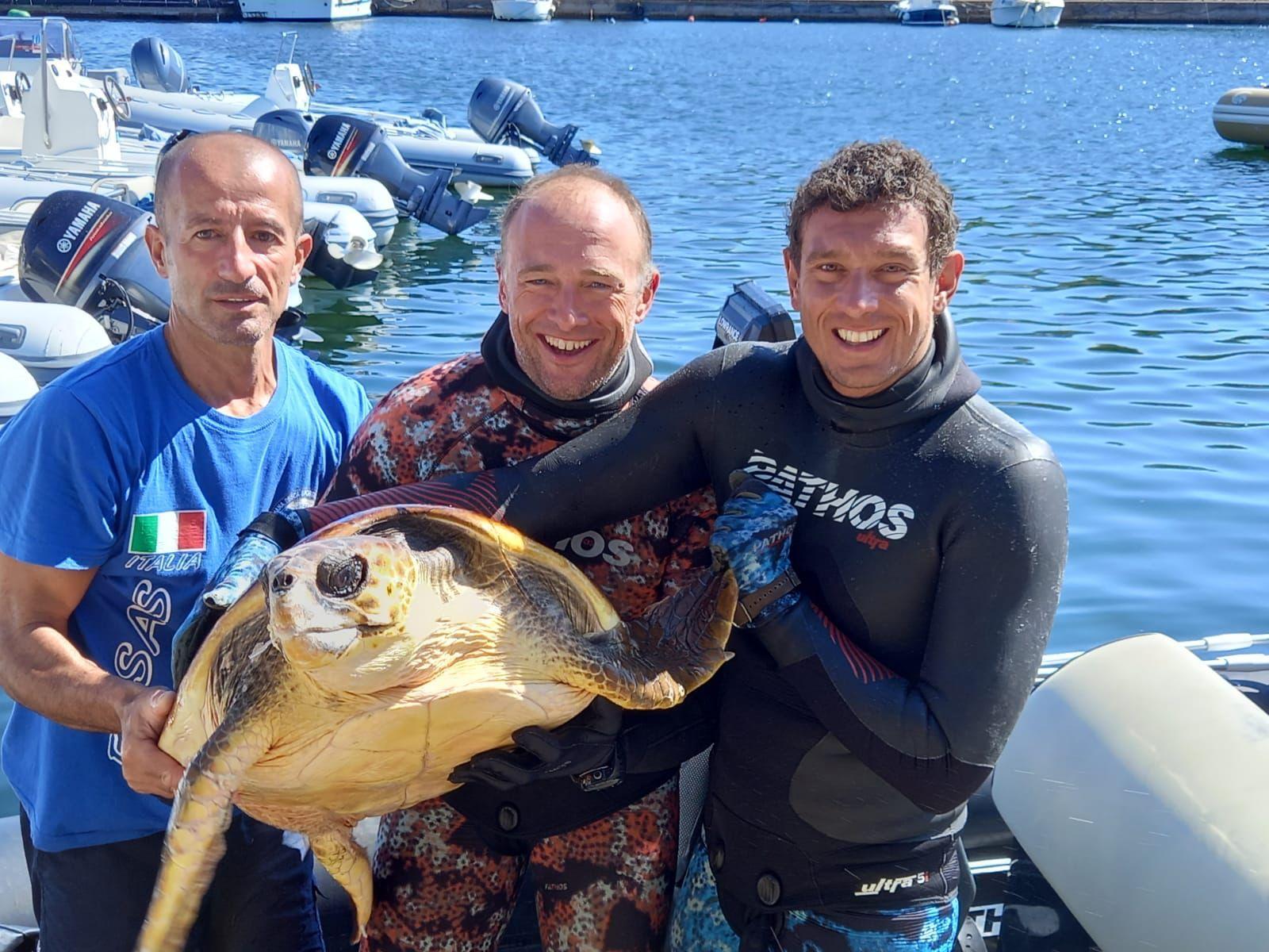 Arbatax, due tartarughe salvate all'avvio dei mondiali di pesca in apnea 