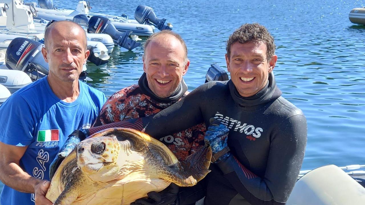 Arbatax, due tartarughe salvate all'avvio dei mondiali di pesca in apnea 