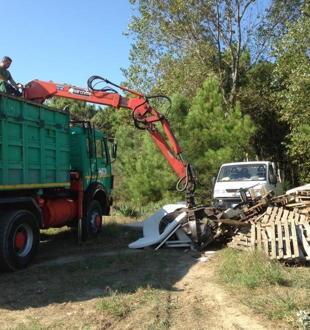 La pineta va sistemata Sì al taglio di alberi, arbusti e rampicanti 