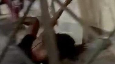 Clienti infastiditi I poliziotti calmano trans in agitazione
