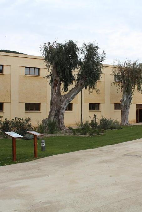 Una giornata dedicata alla Custodia del Creato