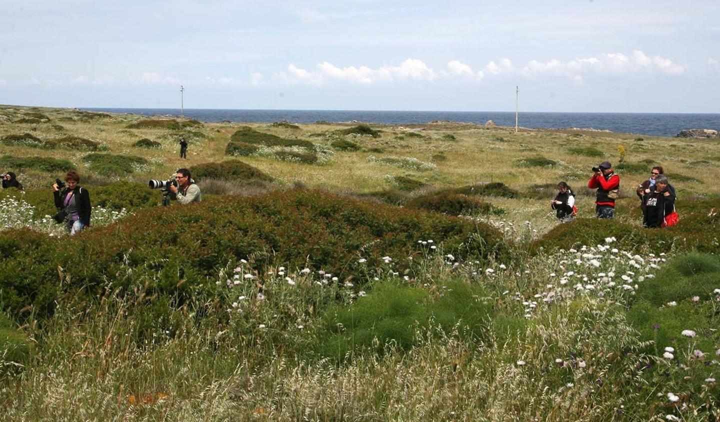 Scuola di ecologia all’Asinara 
