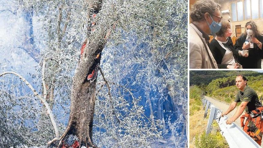 Rogo del Monte Serra, condannato il piromane. Il presidente del gruppo antincendio: «Giacomo ha tradito i nostri valori» 