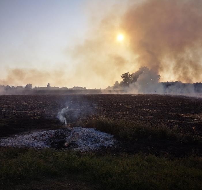 Dà fuoco alle sterpaglie e scatena un incendio Denunciato un anziano