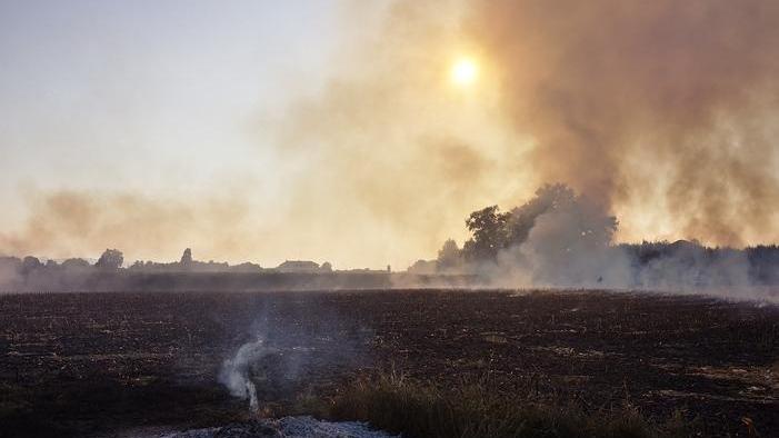 Dà fuoco alle sterpaglie e scatena un incendio Denunciato un anziano