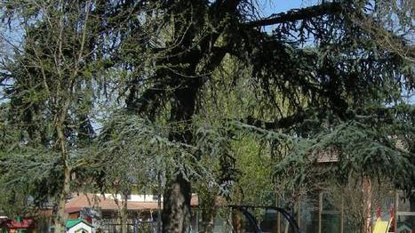Domattina riapre la materna Buscaroli