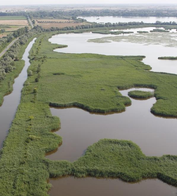 L’ambiente, la storia e l’arte della pianura Ecco il Grand Tour nei luoghi dell’acqua 