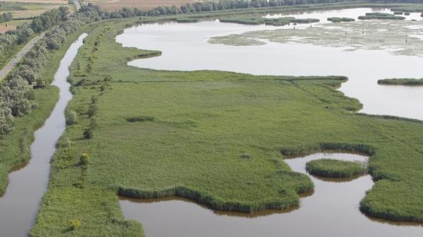 L’ambiente, la storia e l’arte della pianura Ecco il Grand Tour nei luoghi dell’acqua