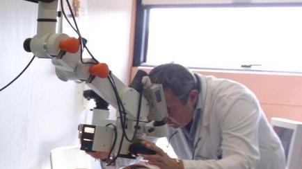 Screening gratuito del melanoma