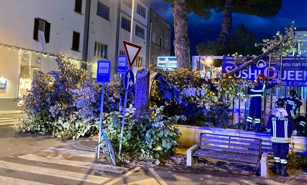 Cade un tiglio per il vento, paura alla stazione 