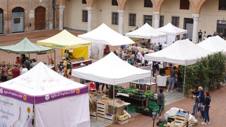 Mercato contadino riaperto