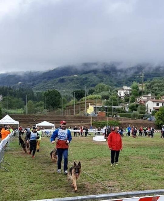 Un successo la sfilata dei pastori tedeschi