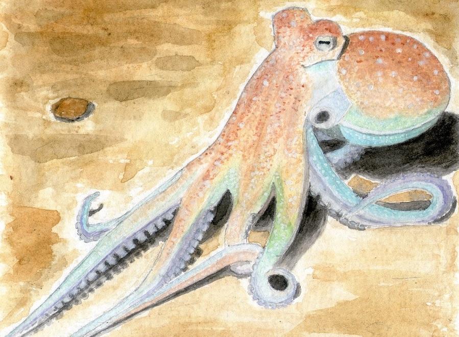 I “Nuovi appunti elbani” con gli scatti di Paul Klee e i dipinti di Marchese