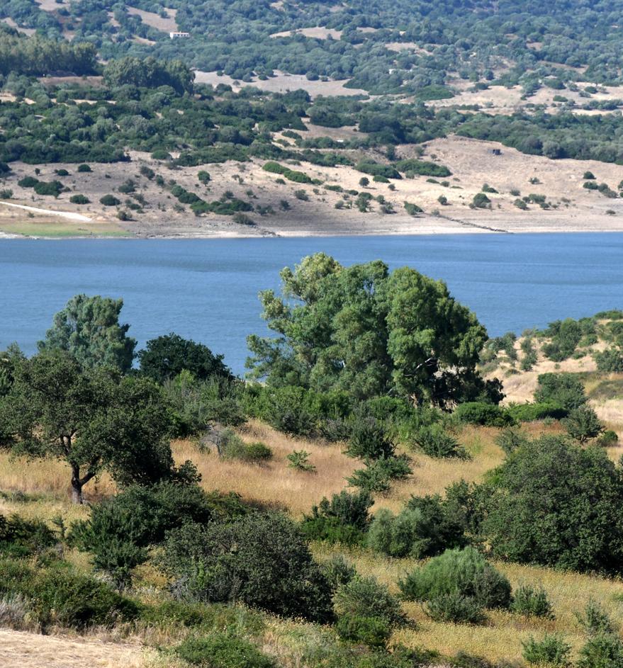 Contratto di Lago, sei incontri per un progetto coerente