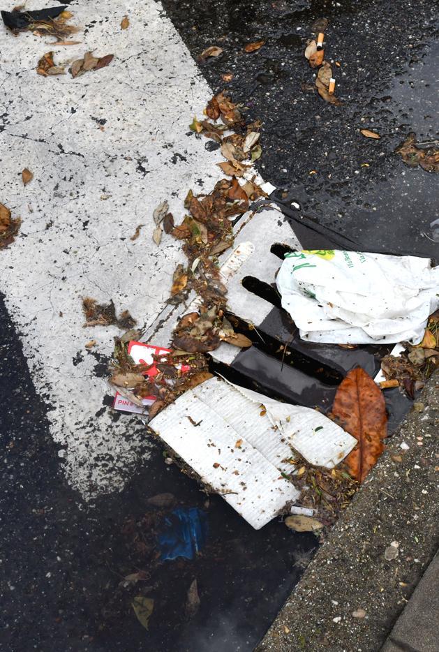 «Abbiamo già pulito 530 caditoie su 2000»