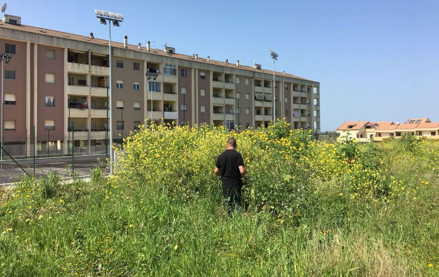 L’importanza di rispettare i beni della comunità 
