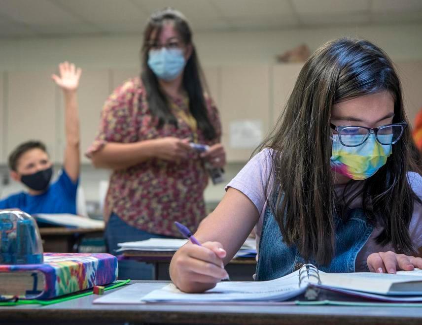 Scuole sentinella a Modena e provincia, via ai test a campione 