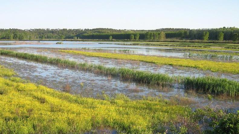 Sabato manifestazione davanti al Tettuccio per la riserva naturale