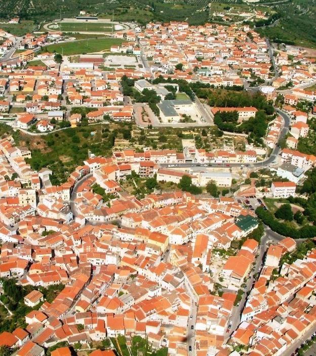 Ossi, giovani alla ricerca delle più antiche tradizioni 